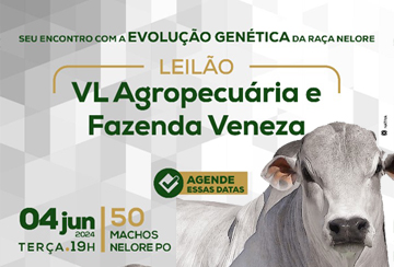 LEILÃO VL AGROPECUÁRIA E FAZENDA VENEZA - MACHOS NELORE PO